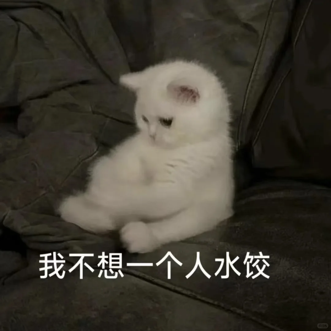 港娱其实真的很适合恋老人