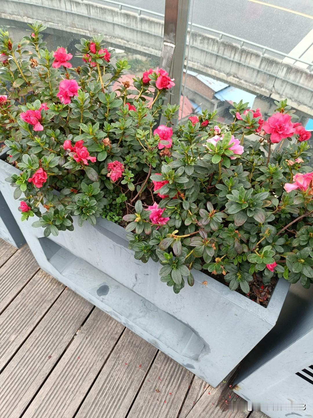 《沉默的荣耀》对现实生活有何启示重塑历史记忆，抵御历史虚无主义，并为当代社会提供