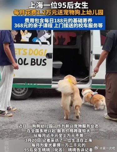 95后女生每月花1.2万送狗上学！上海一名95后女生因工作繁忙，每月花费1.2万