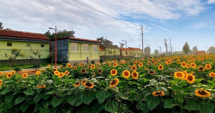 长清今年将打造100个典型引领村，形成“百村十片”农村发展布局！2月4日，长清区