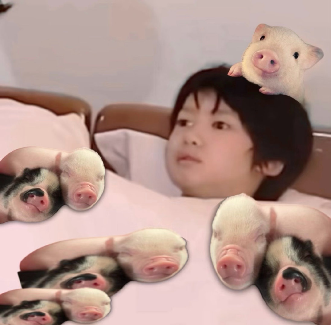 💤 