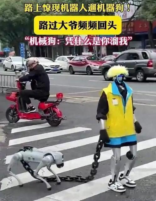 科技奇景：机器人牵机器狗遛弯，大爷看懵啦

近日，街头出现有趣一幕，一个机器人稳