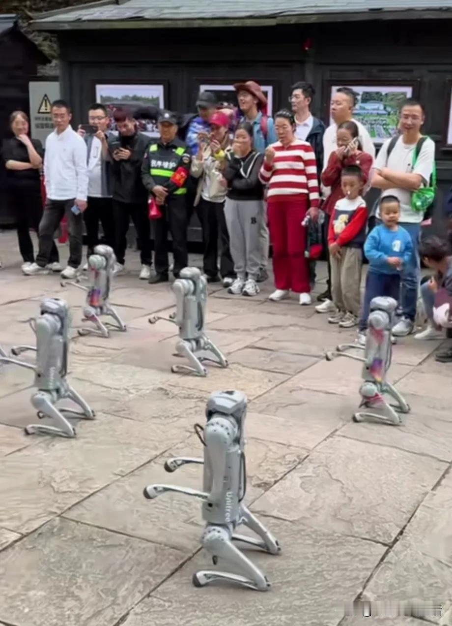 你知道吗？机器狗可真是个神奇又好玩的玩意儿！就像从未来世界跑来的小精灵，一出场就