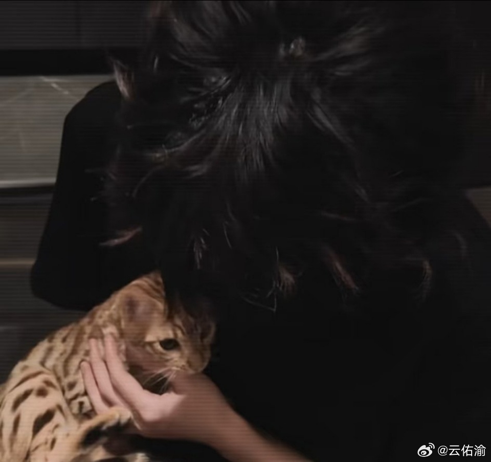 梓渝 zy五谷磨房品牌代言人梓渝 我知道来日可期，可就是这一分这一秒，温柔宠溺包