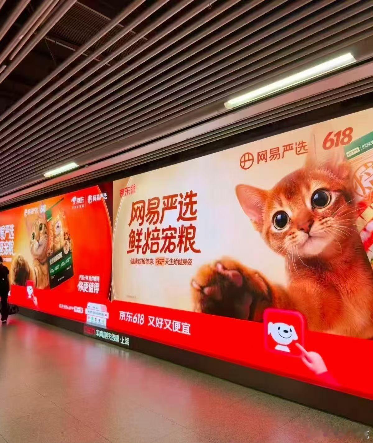 空尼几哇 人为啥不能出镜啊