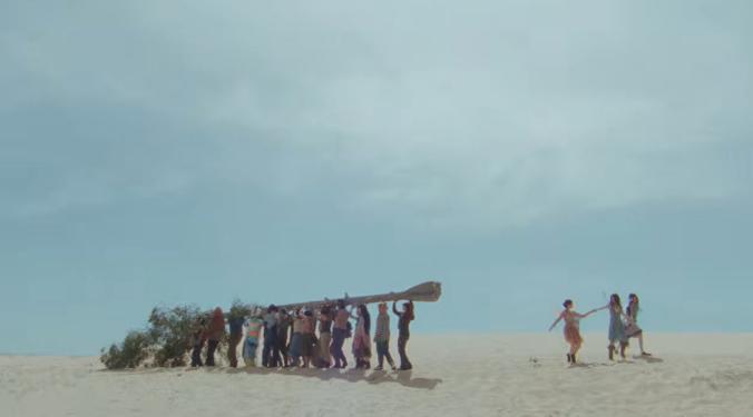 这群人在干什么？往沙漠搬运一棵树吗，要干什么呢