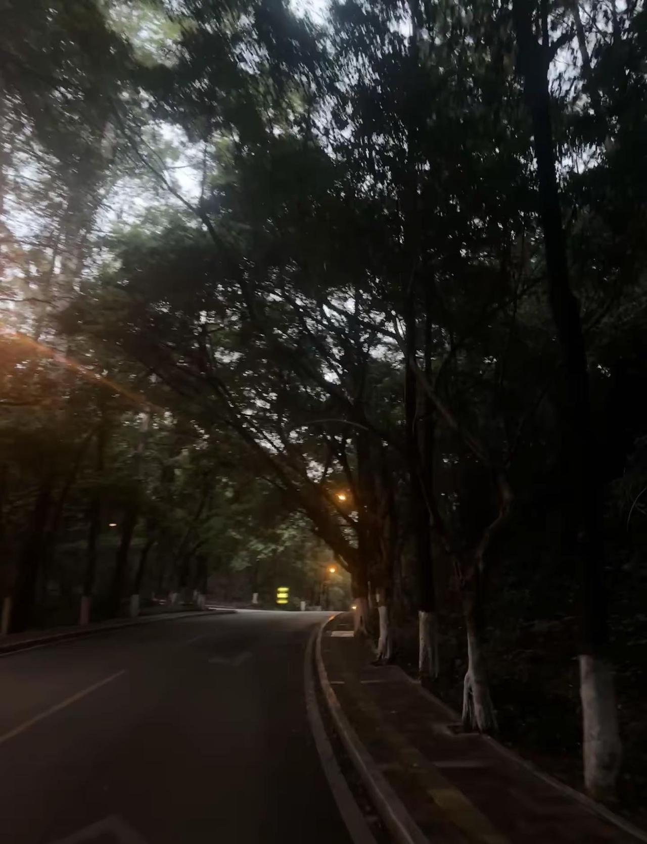 天气好的话 我们可以去森林公园散步