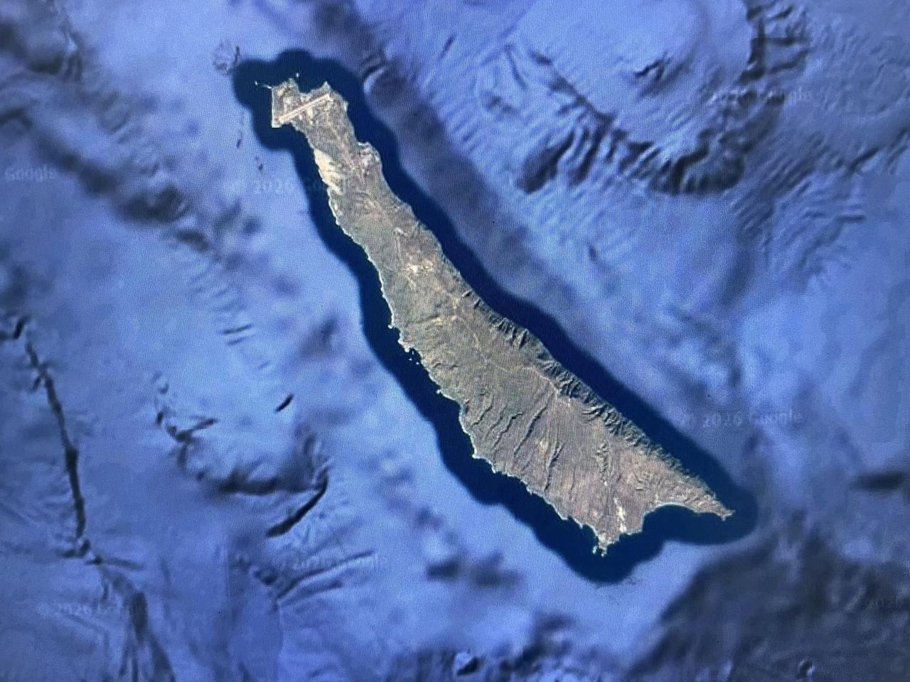 菜农真惨，甘蓝一毛钱一斤都没人收[泣不成声][泣不成声]