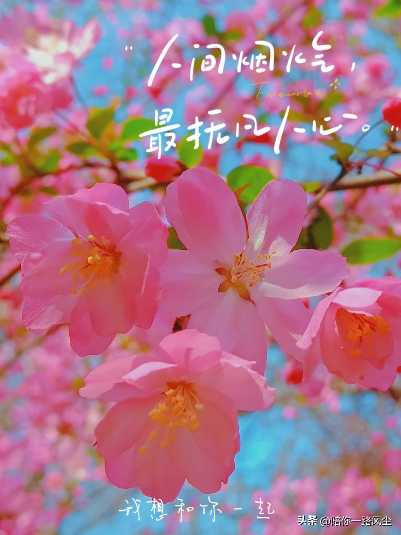 去年今日此门中
人面桃花相映红
人面不知何处去
桃花依旧笑春风

那些年，因为偶