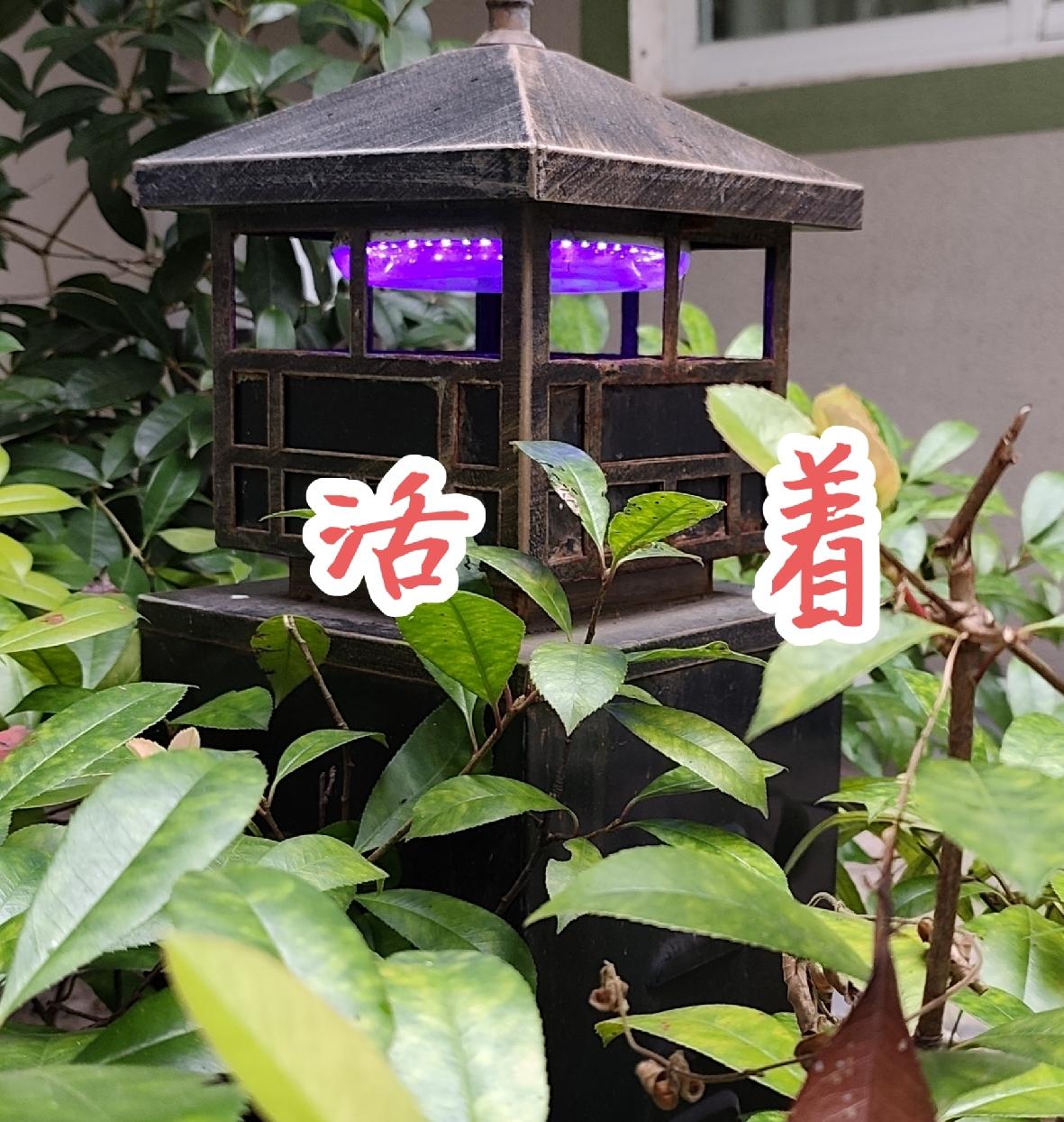 老了，最终必然有一个人独自走完后面的路。就看你怎么看开。怎么想明白？
你看丈夫钱