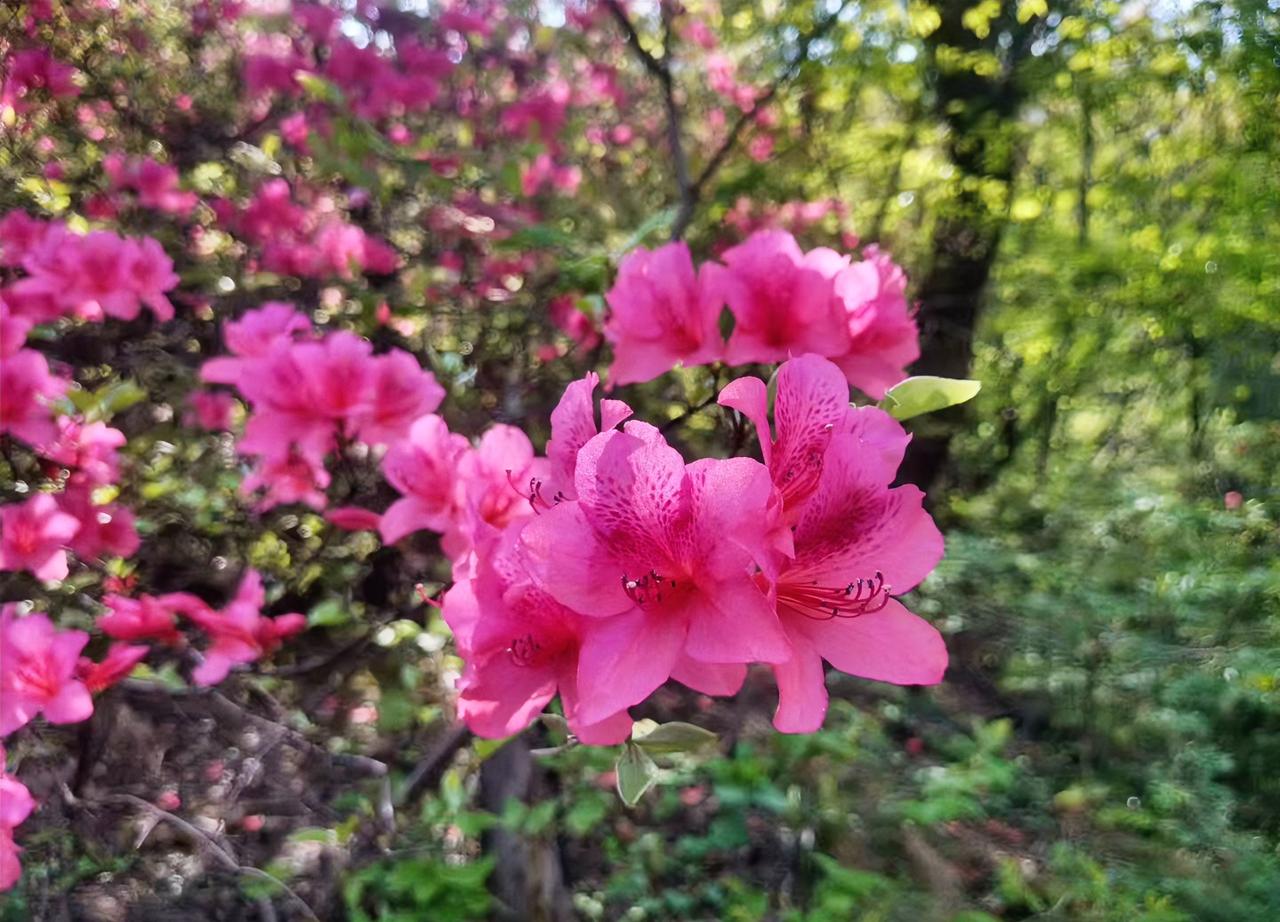 我再一次被人刷新了三观，这也太不可思议了。

王老师退休六年了，她说只吃早饭和午