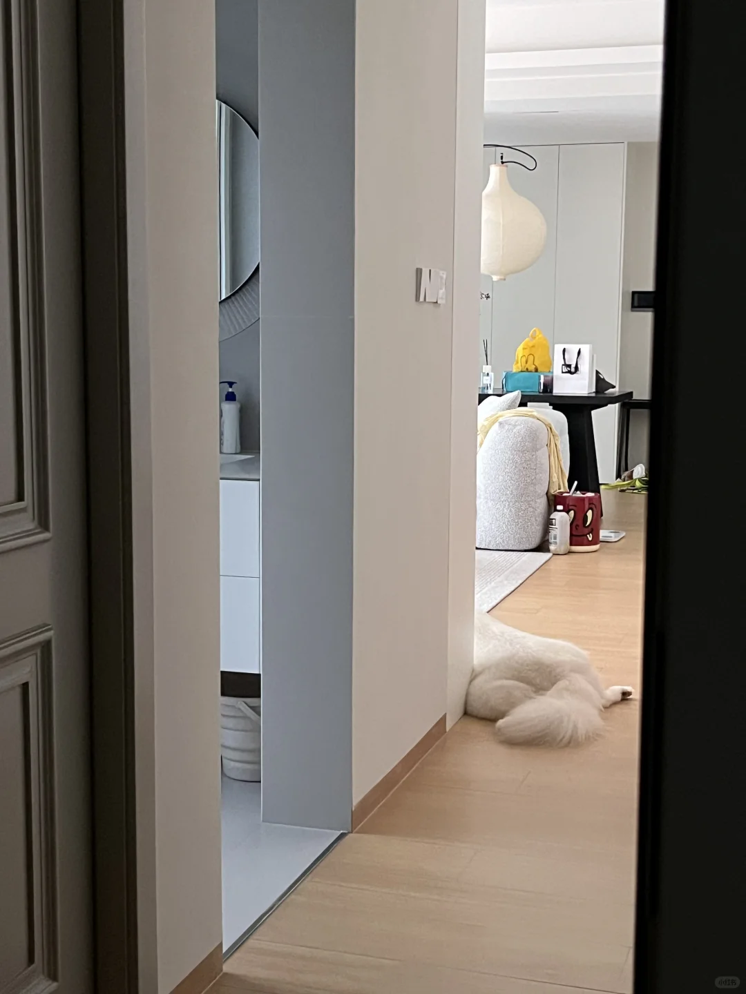 小狗的宅家日常🦦