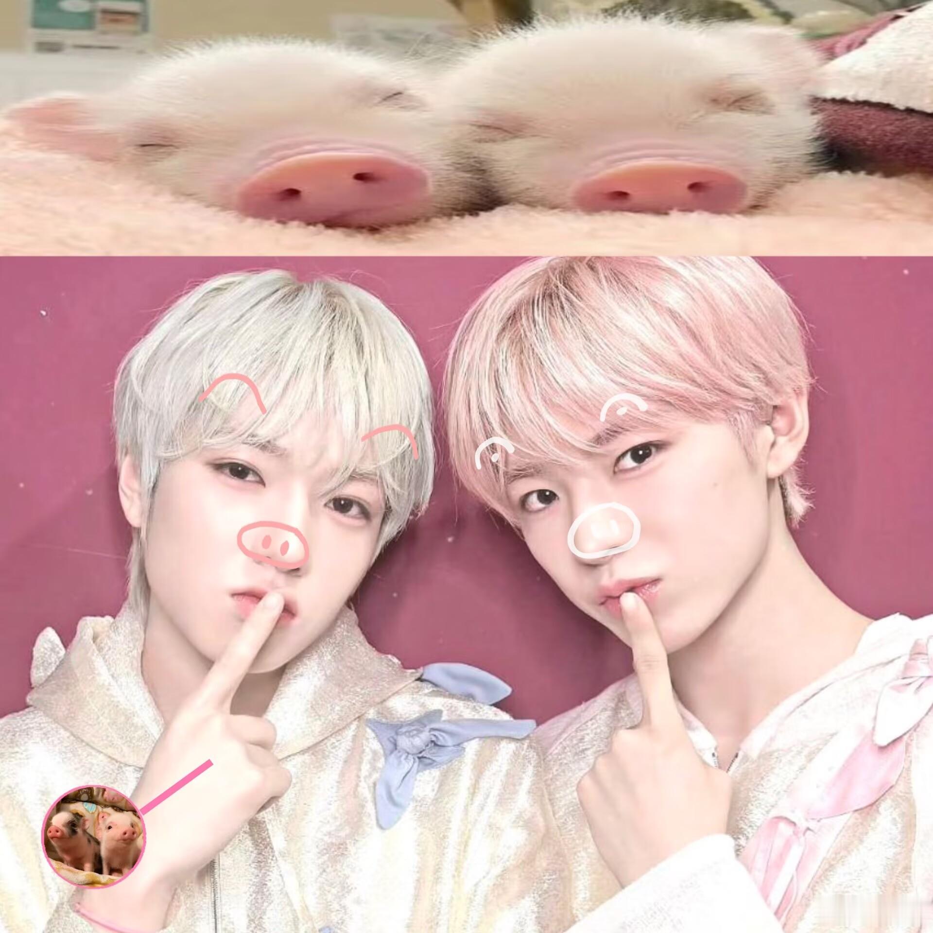 我感觉他俩真可爱爆了 