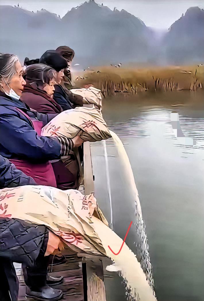 太可惜和气愤了！
放生鱼、放生矿泉水还不够，居然有人往河里倒成袋大米，这哪是积德