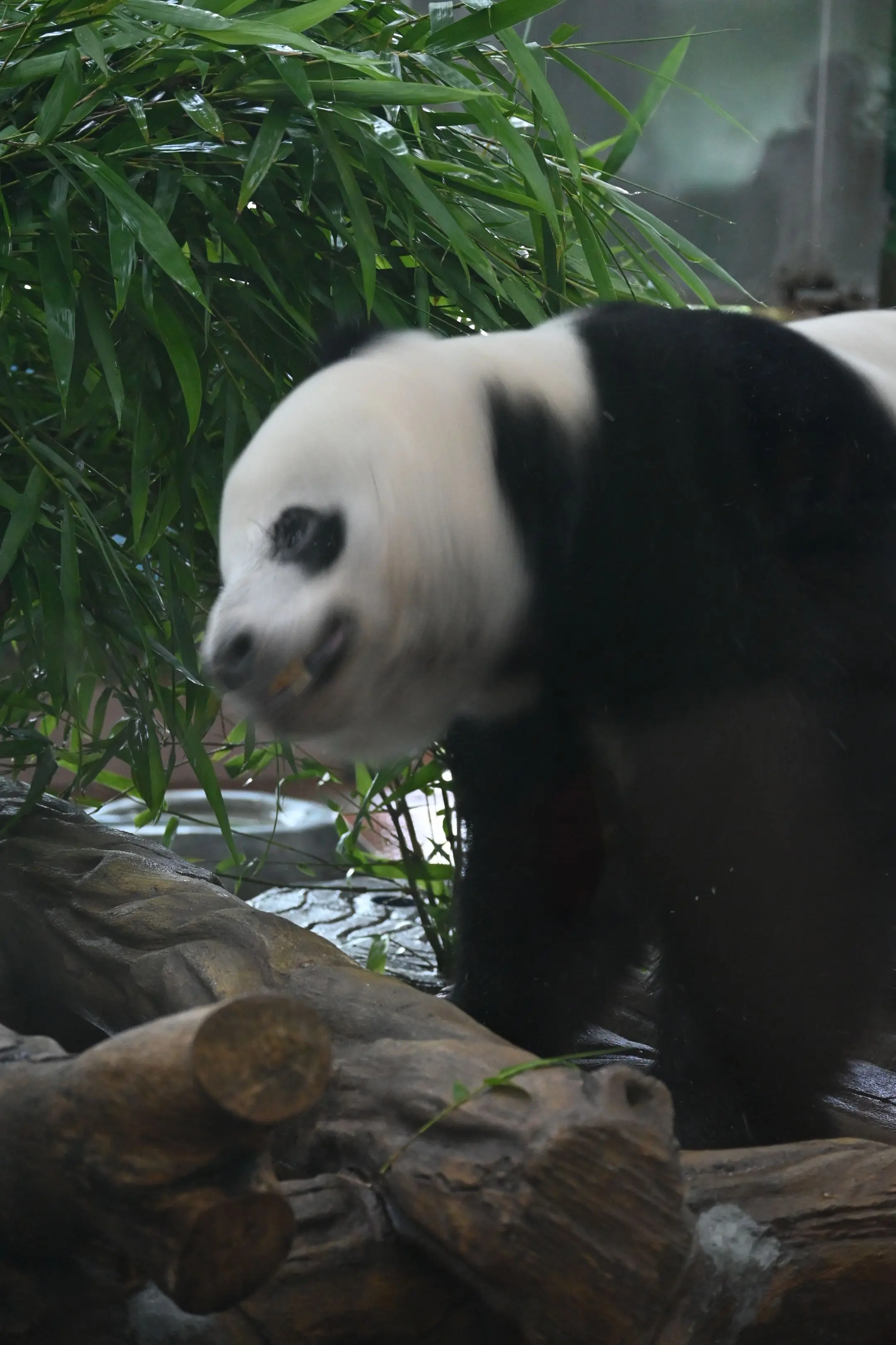 像极了国庆在上班的我。