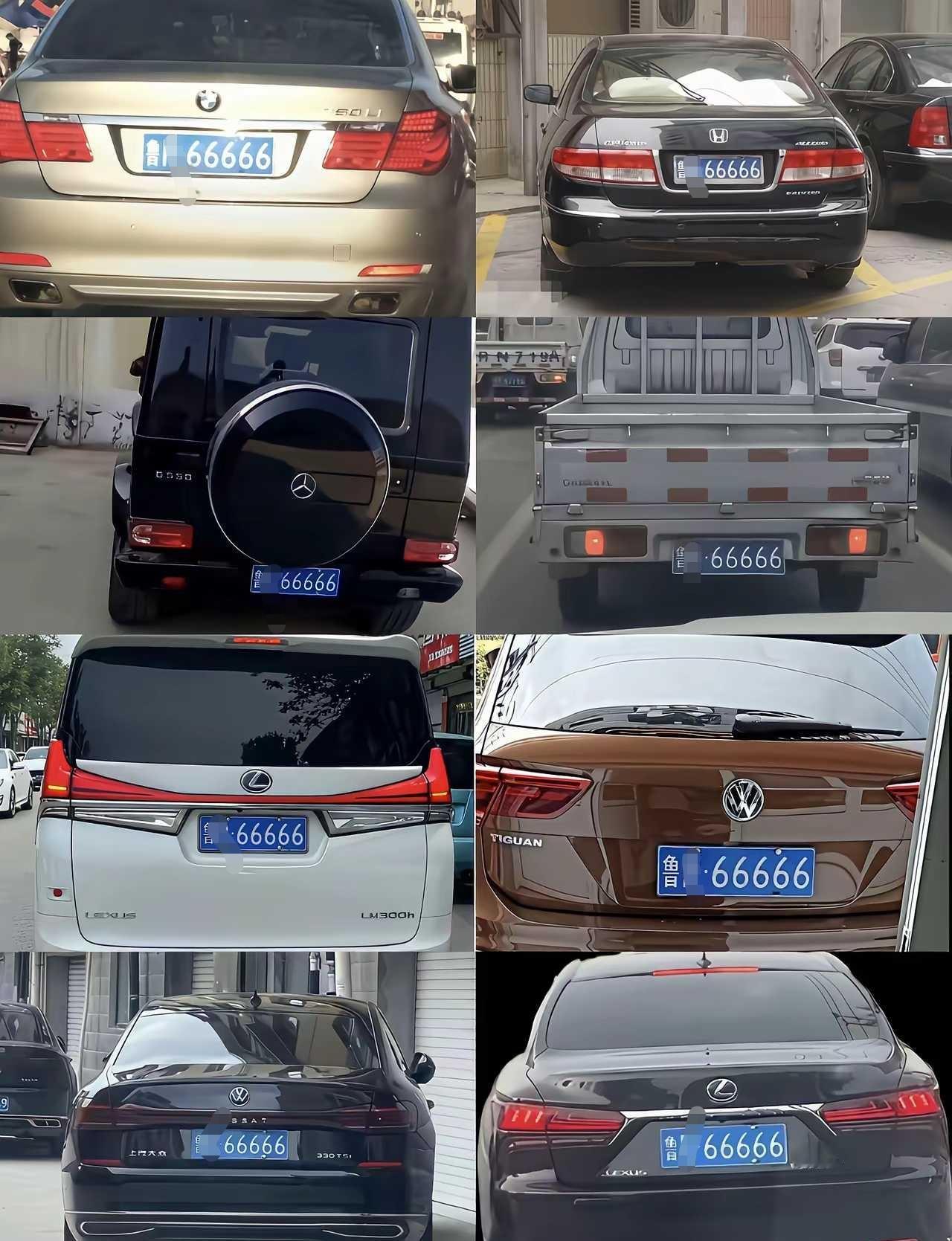 网友：一个车牌不同车型，满满的故事感，你能看出怎样的人生经历呢？[抠鼻]