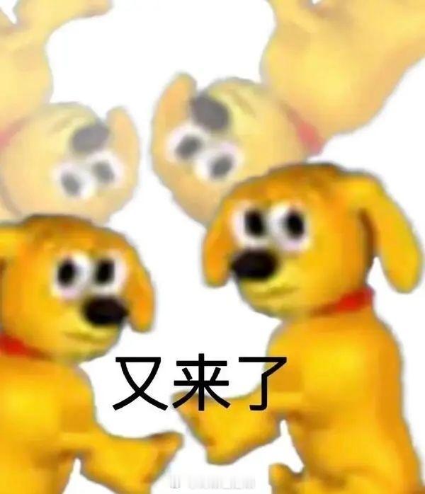 刚才就这样眼睁睁地看着一只超大蟑螂直接撞到纱窗上，然后挣扎了几秒，被我拿棍子戳了