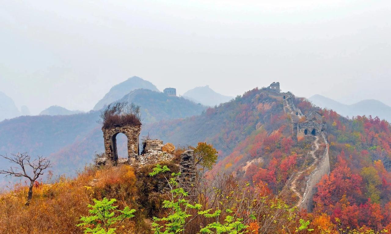 今年最舍不得删的照片