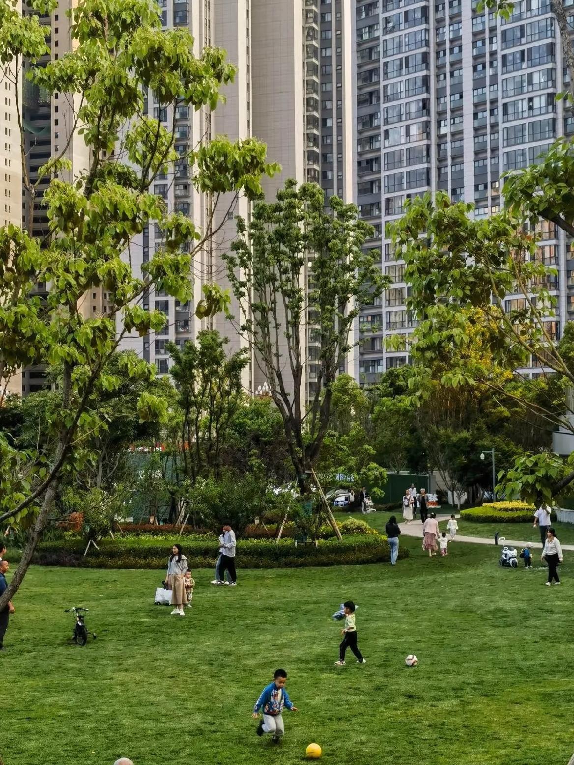 今天在楼下公园晒着太阳，看着小朋友们追着跑，突然觉得，幸福就是此刻的风、眼前的笑