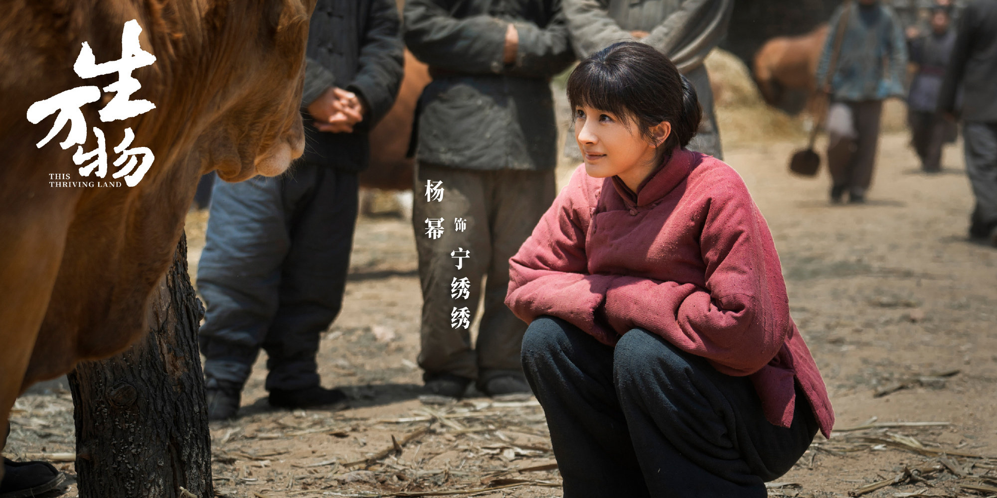 生万物云合35.7%  生万物35.7%持续登顶云合  生万物35.7%持续登顶