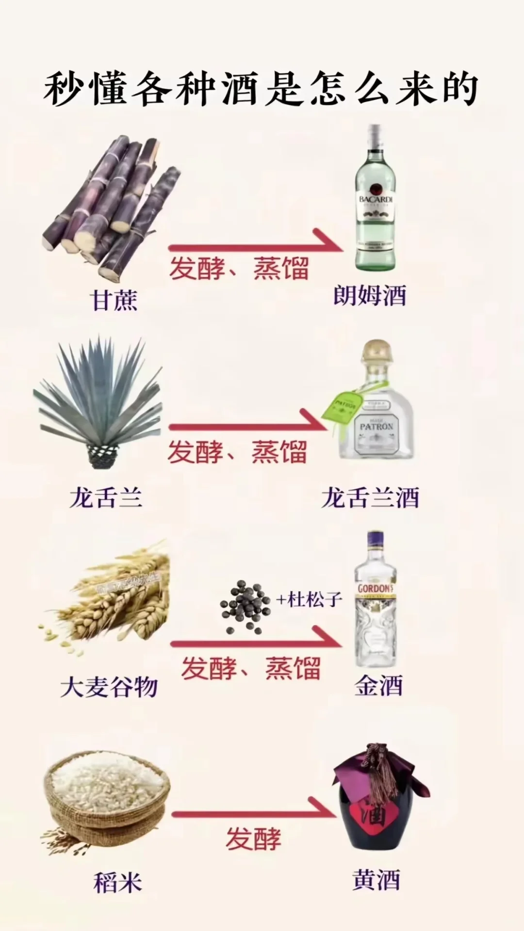 秒懂各种酒怎么来的