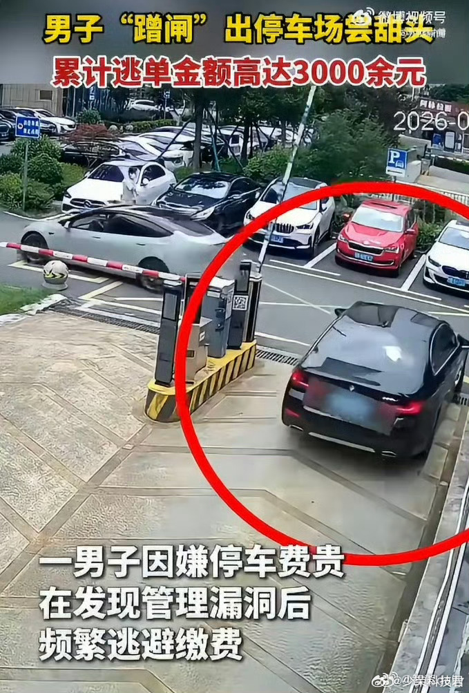 宝马车主逃单3000被抓说这么多吗宝马都开上了，还舍不得给停车费