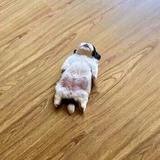 糯羽说说影视