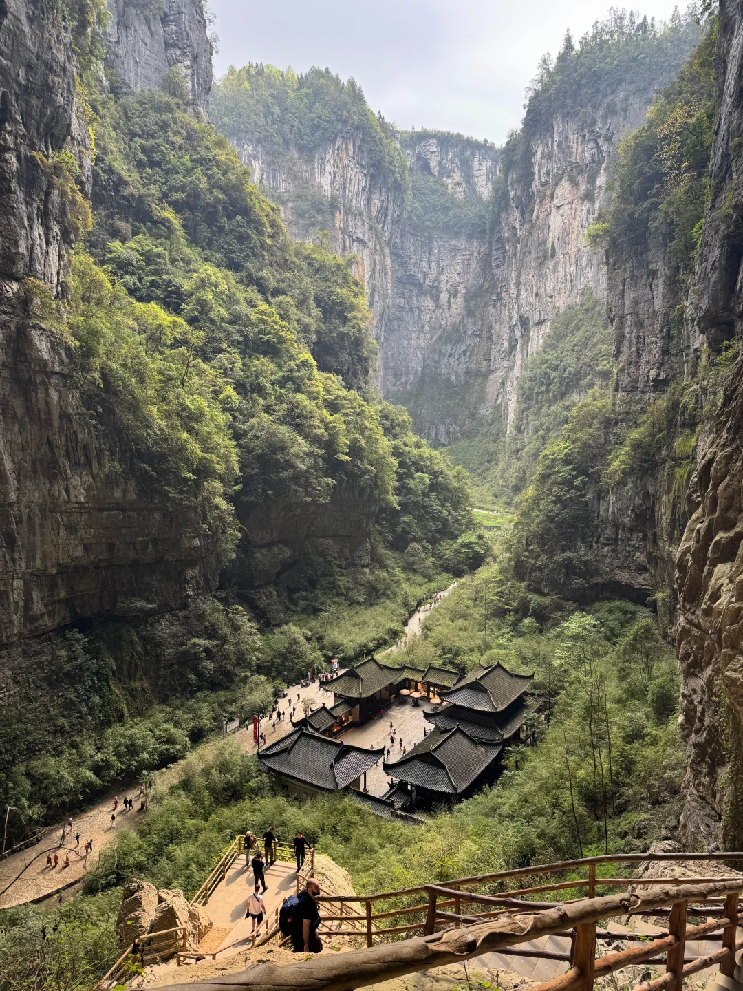 旅行63｜4月带狗自驾旅行第七站-武隆