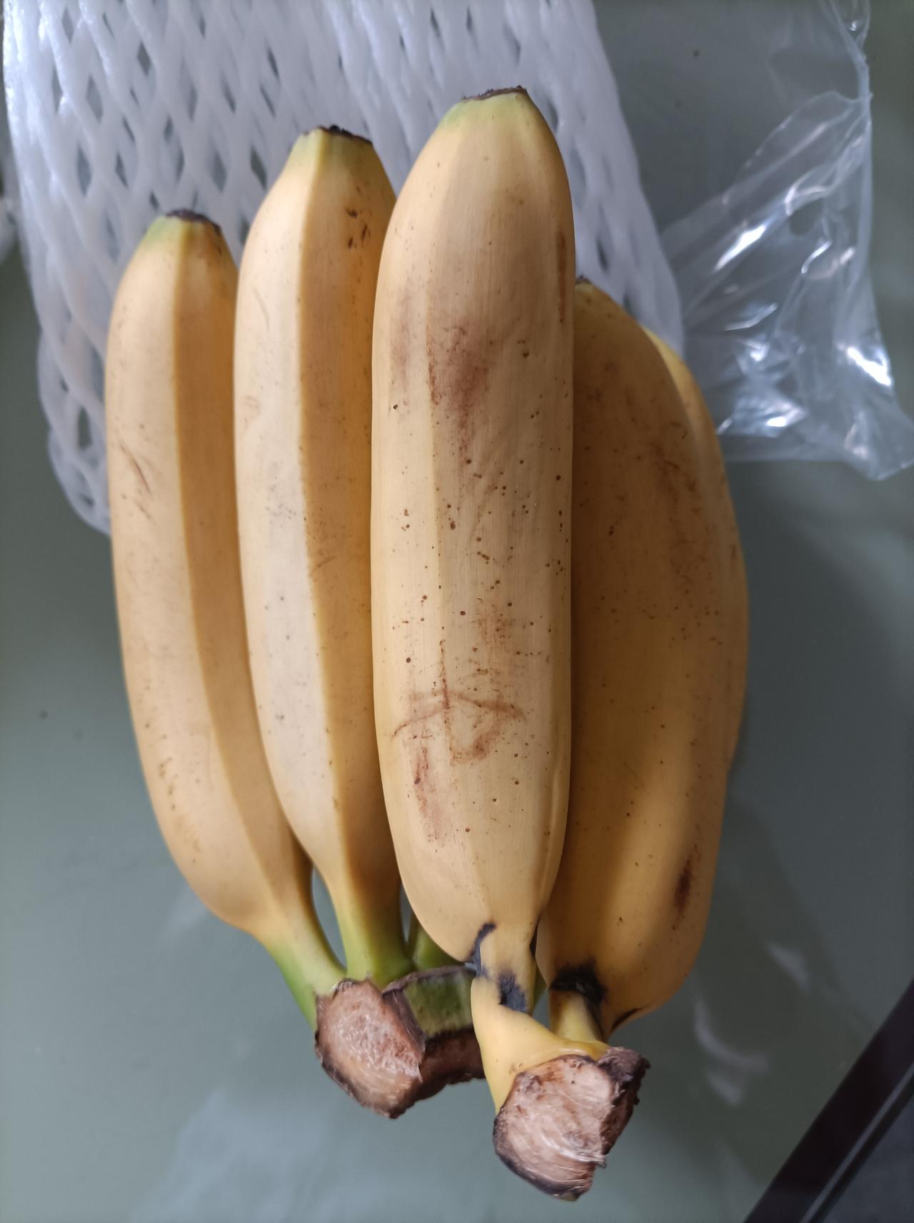 今天收到的一句关心今一早起来，就收到儿媳妇发绐我的微信，叫我们记得把前天买的香蕉