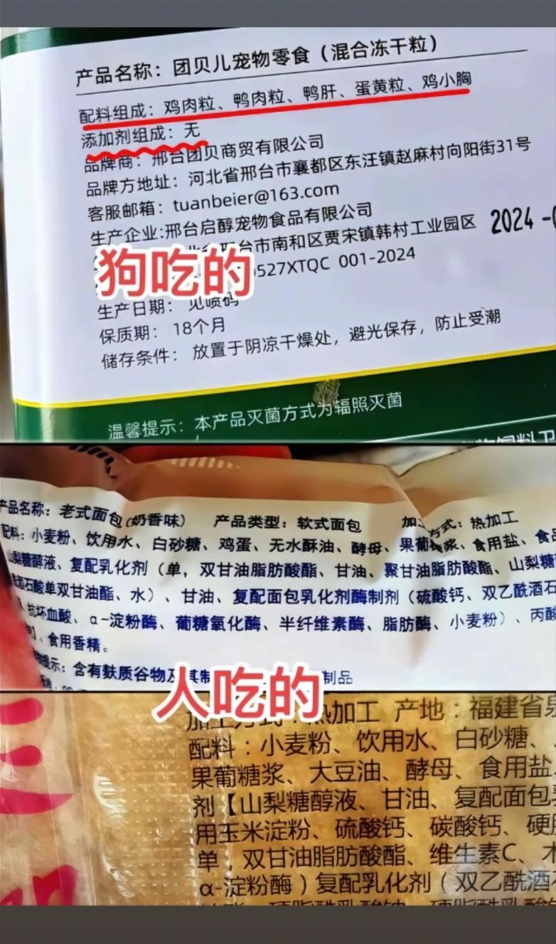 刚才我拿饼干投喂小狗，小狗闻闻就跑了，心想，这么香酥的点心都不吃，你太矫情了吧。