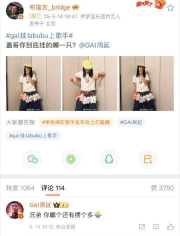 GAI的拉布布是布瑞吉给的 要不怎么说还得是GAI，不仅仅是身上堆了一堆的拉布布