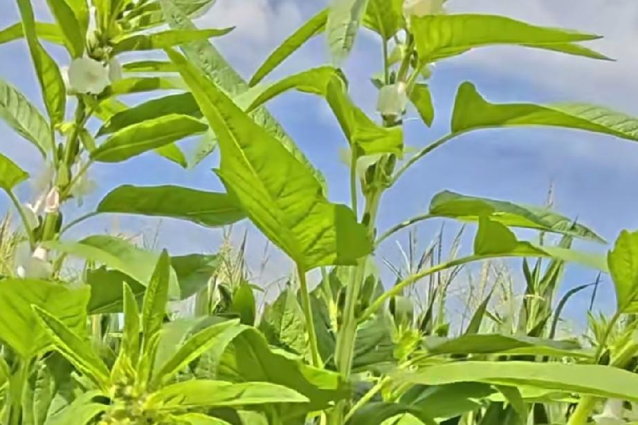 人最心酸的深情，大概就是掏心掏肺爱过一场，最后却落得无话可说。
 
曾经你是我心