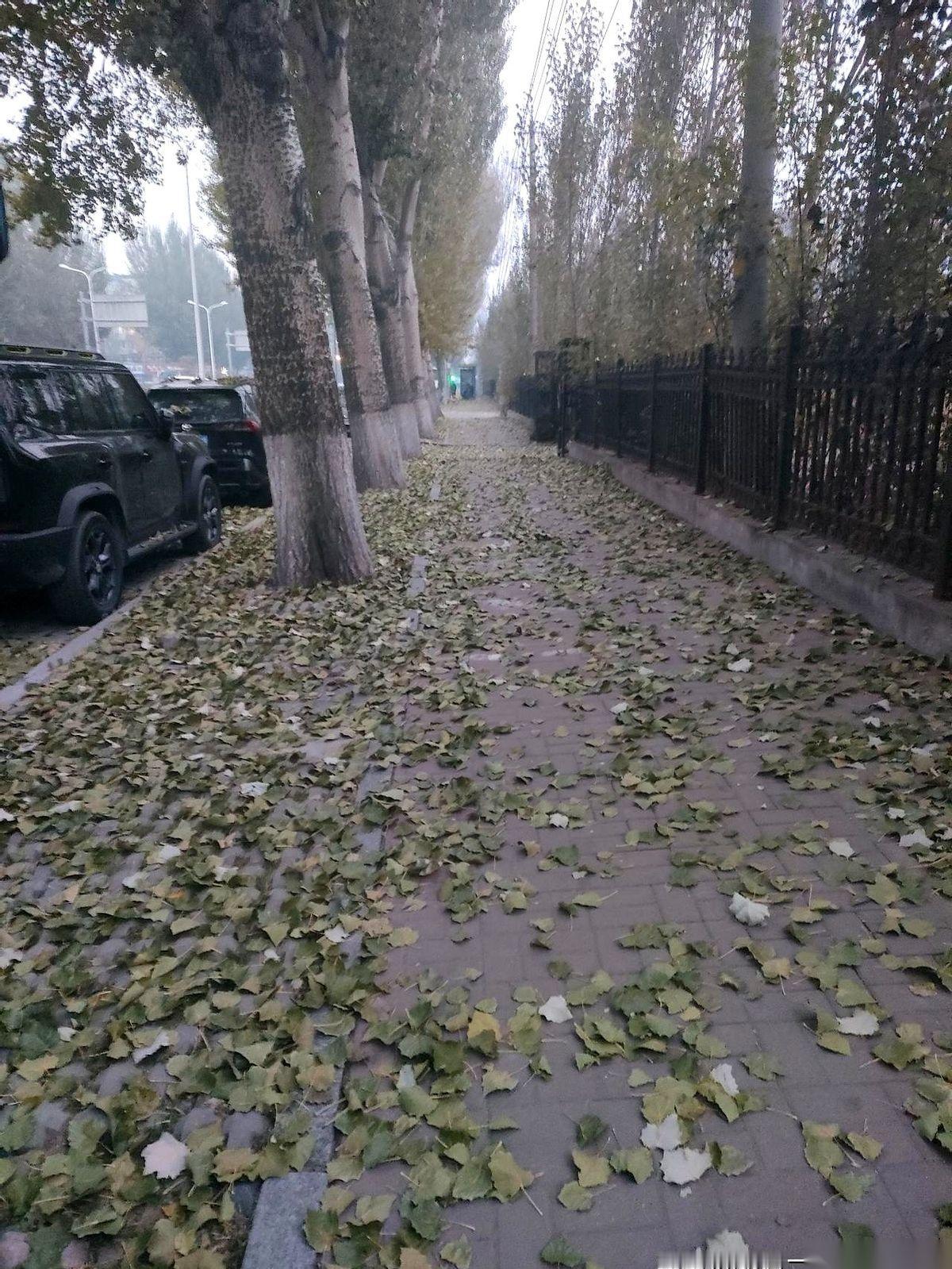 我儿子要去同学家，非要我买个榴莲带上。
我当时就纳闷，一个榴莲好几百，你小子又不