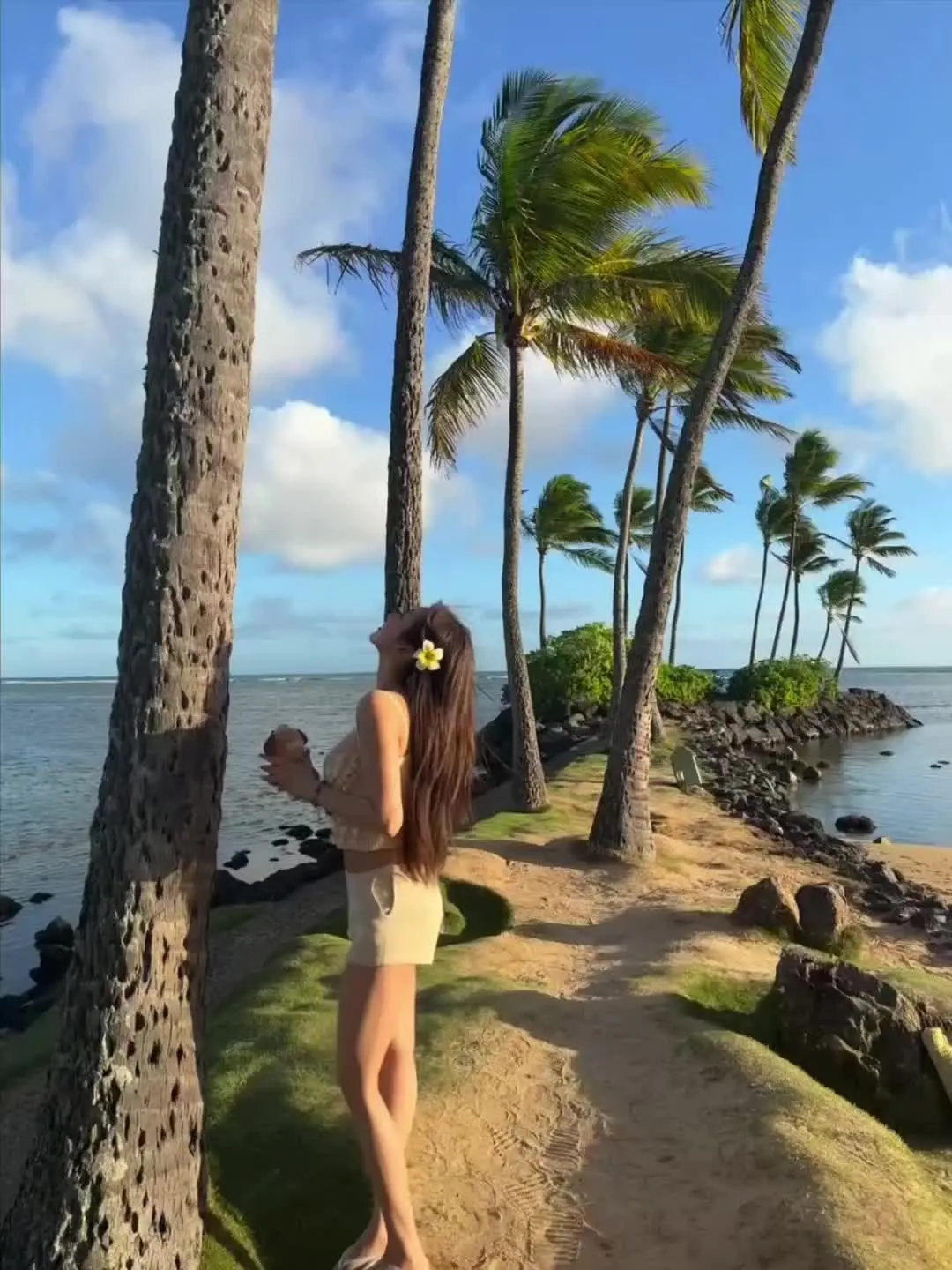 Kahala beach 🏝️ 𓇼 打卡了我妮同款海滩🐢🦋🪼...