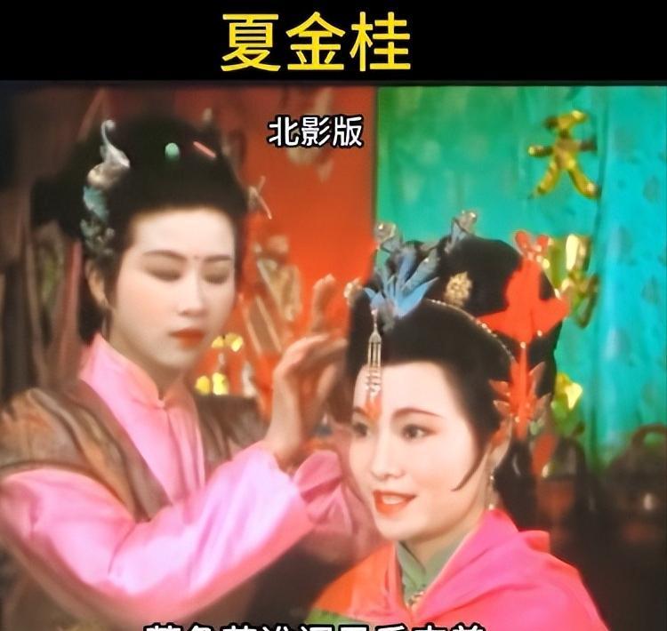 夏金桂，这个从《红楼梦》走来的人物，容不得简单标签。
影视剧的不同演绎，让她的形