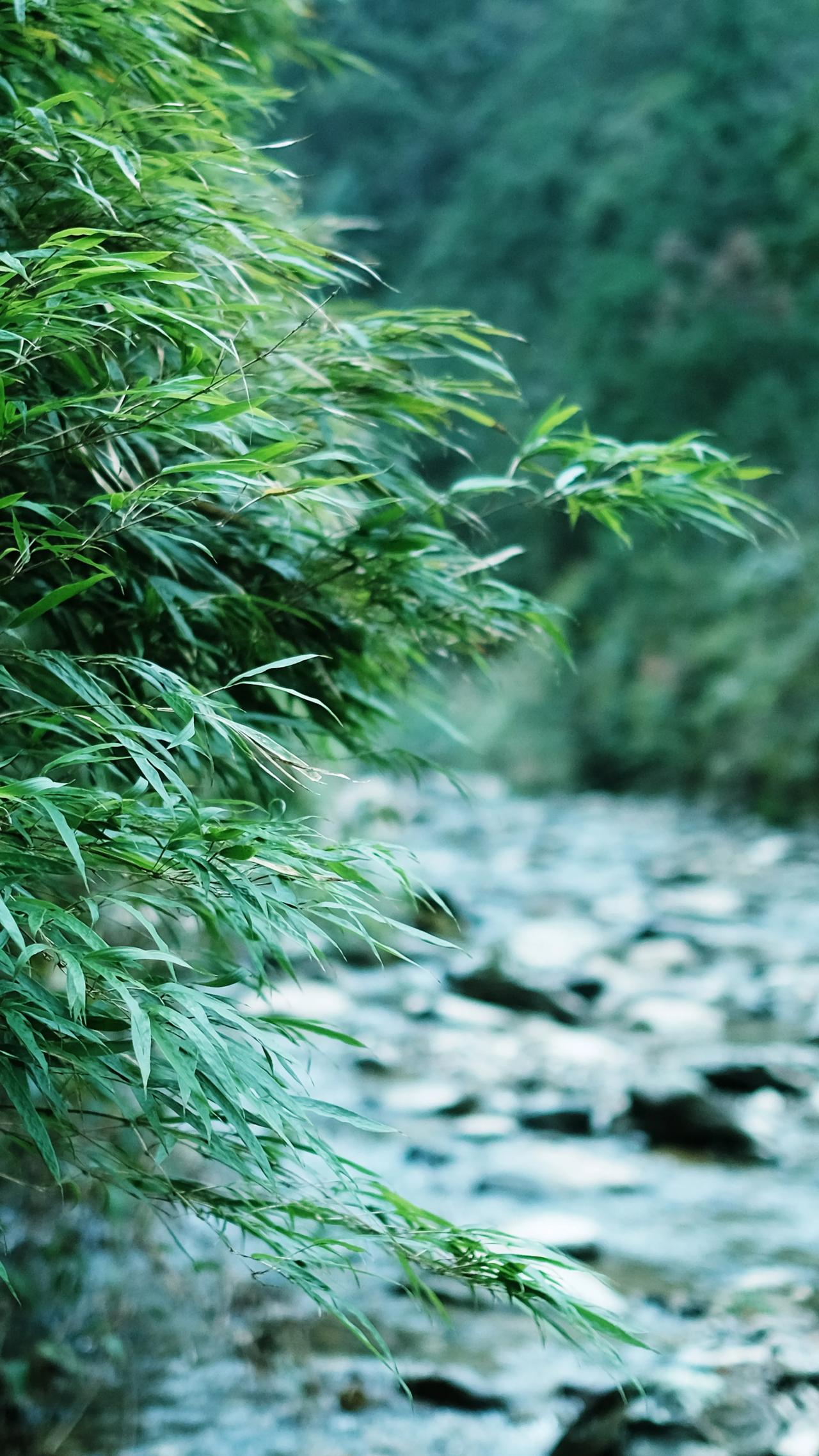 庄子说：同于无知，其德不离。同于无欲，故谓素朴！这就是朴素的来源，什么叫朴素？就