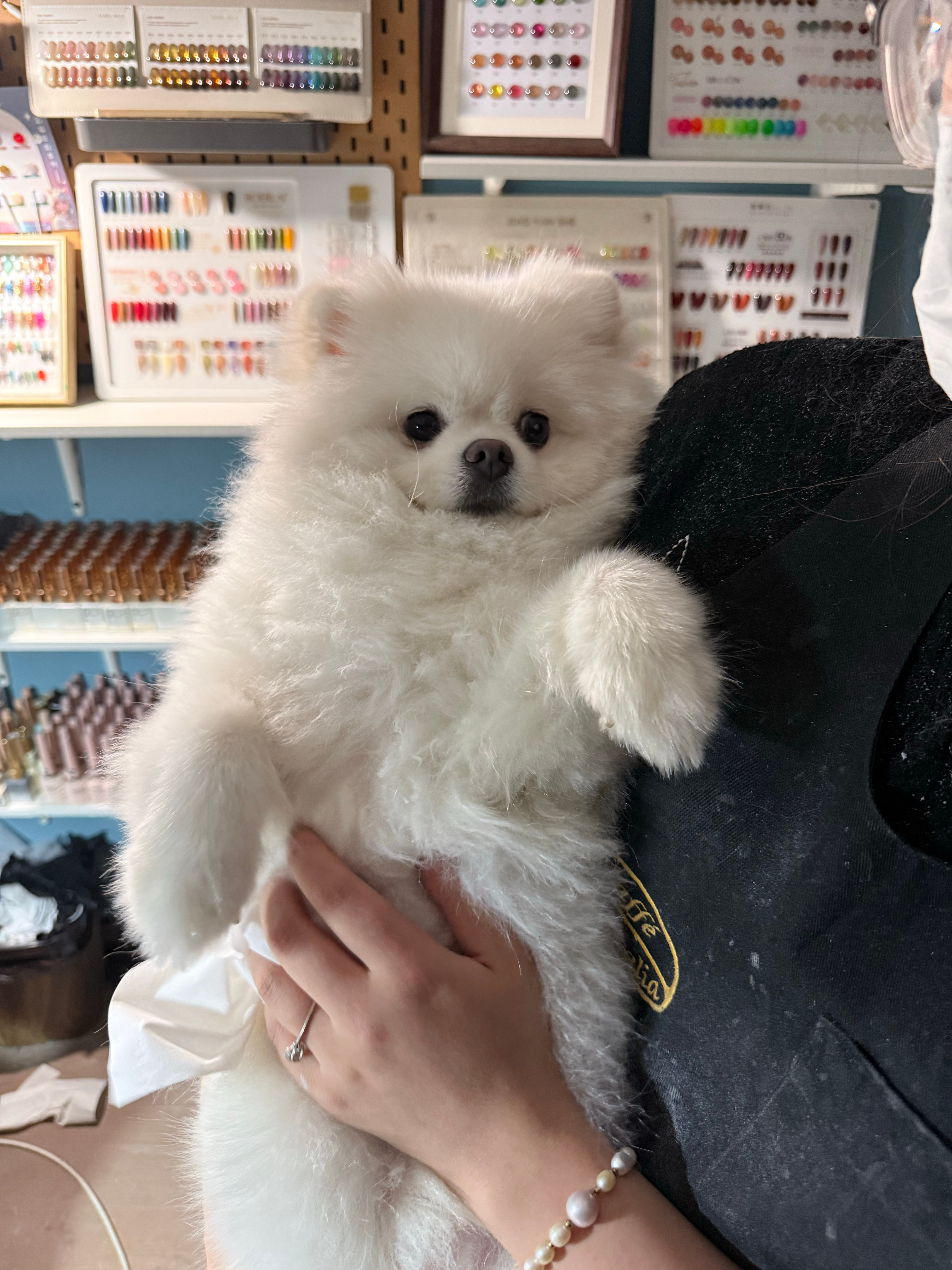 [彩虹屁][彩虹屁][彩虹屁] ​​​