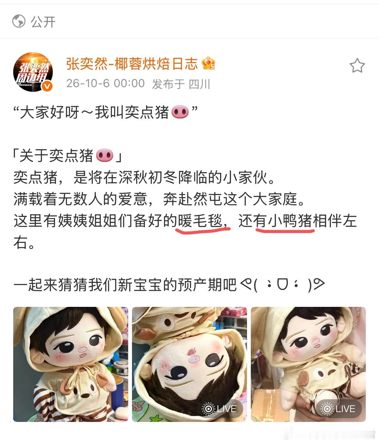 解读一下，意思是下次不单是奕点猪40cm和10cm形态，还会有暖毛毯和小鸭猪，大