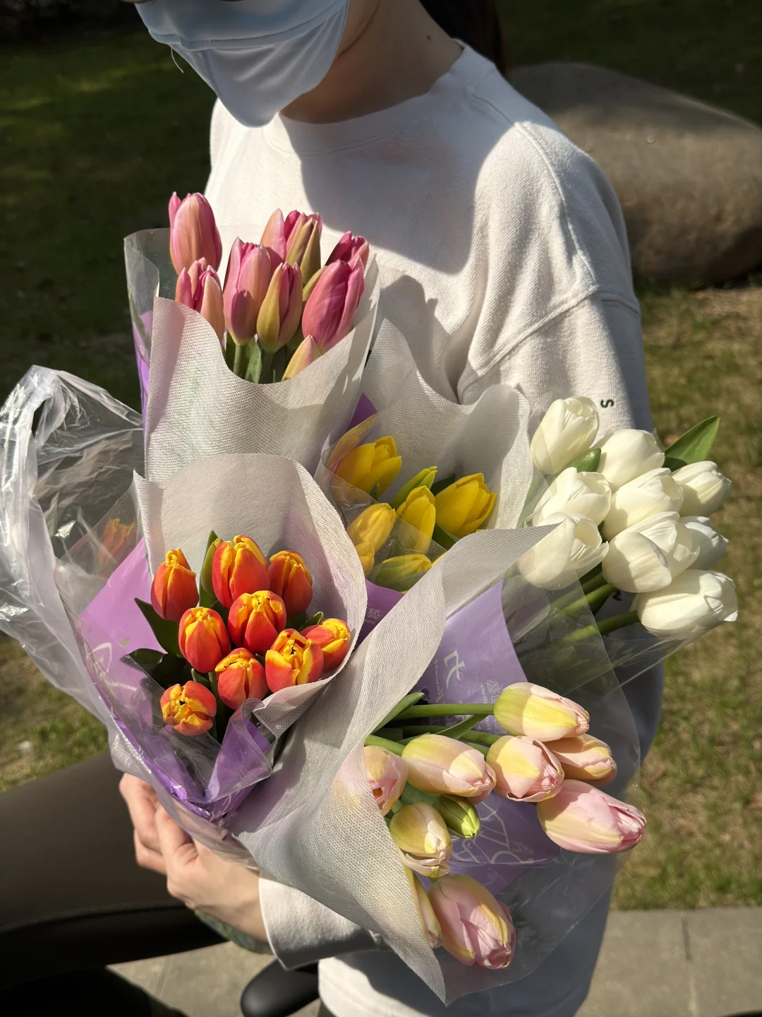 骑车去买郁金香💐