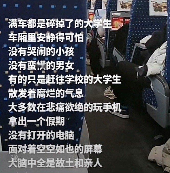 25号后，街上的狗都比我自由 ​ ​​​