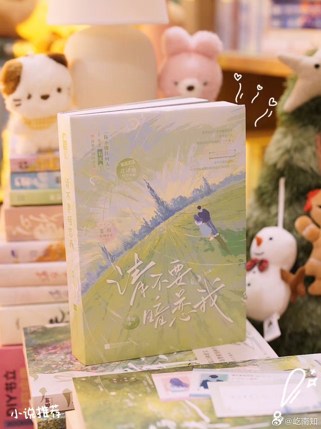 [兔子]《请不要暗恋我》 青春校园“请不要暗恋我 大胆告白吧”一句话介绍[给你小