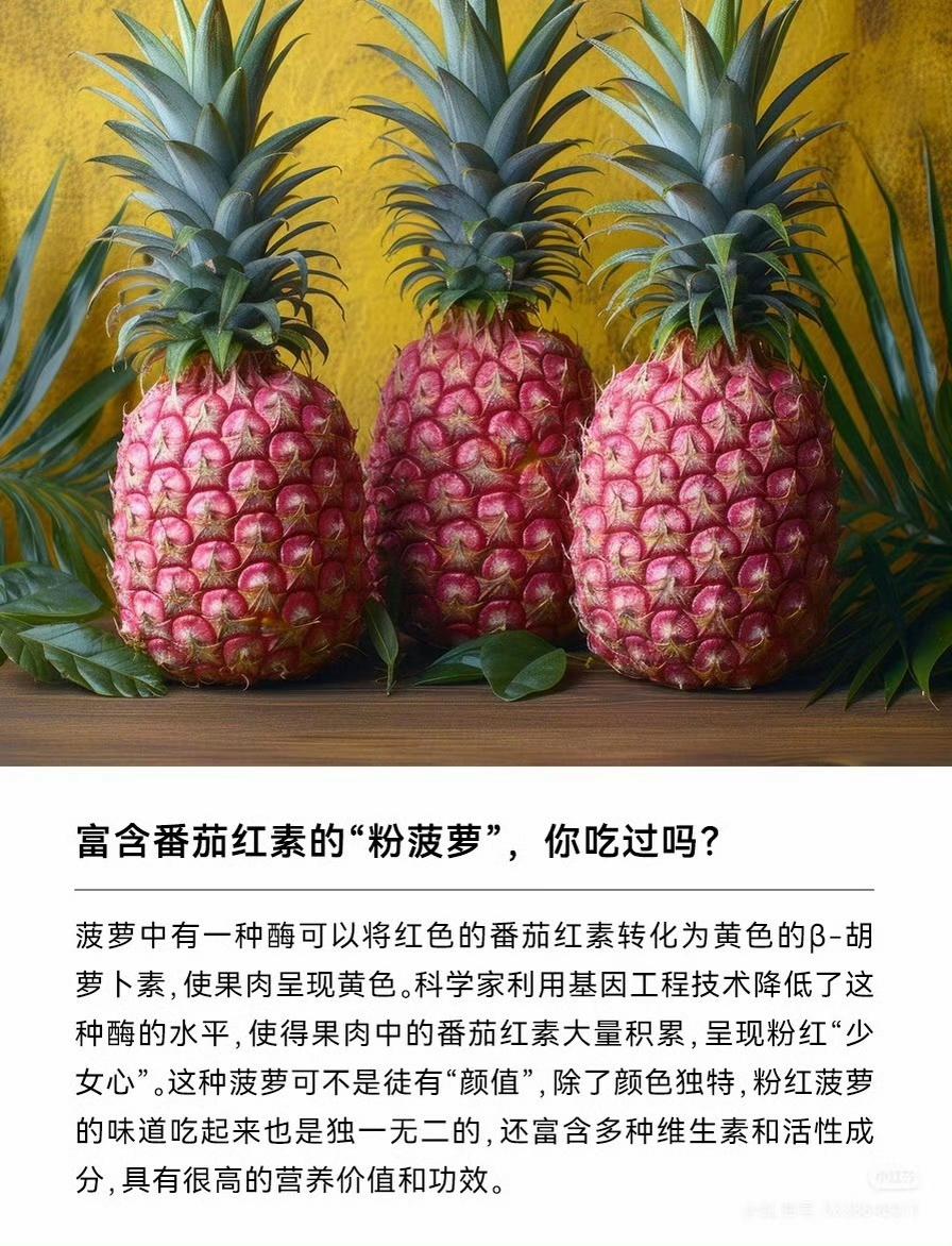 800元一颗的水果刺客粉菠萝来自哥斯达黎加，全球仅此一处产地，水果店员称其甜度和