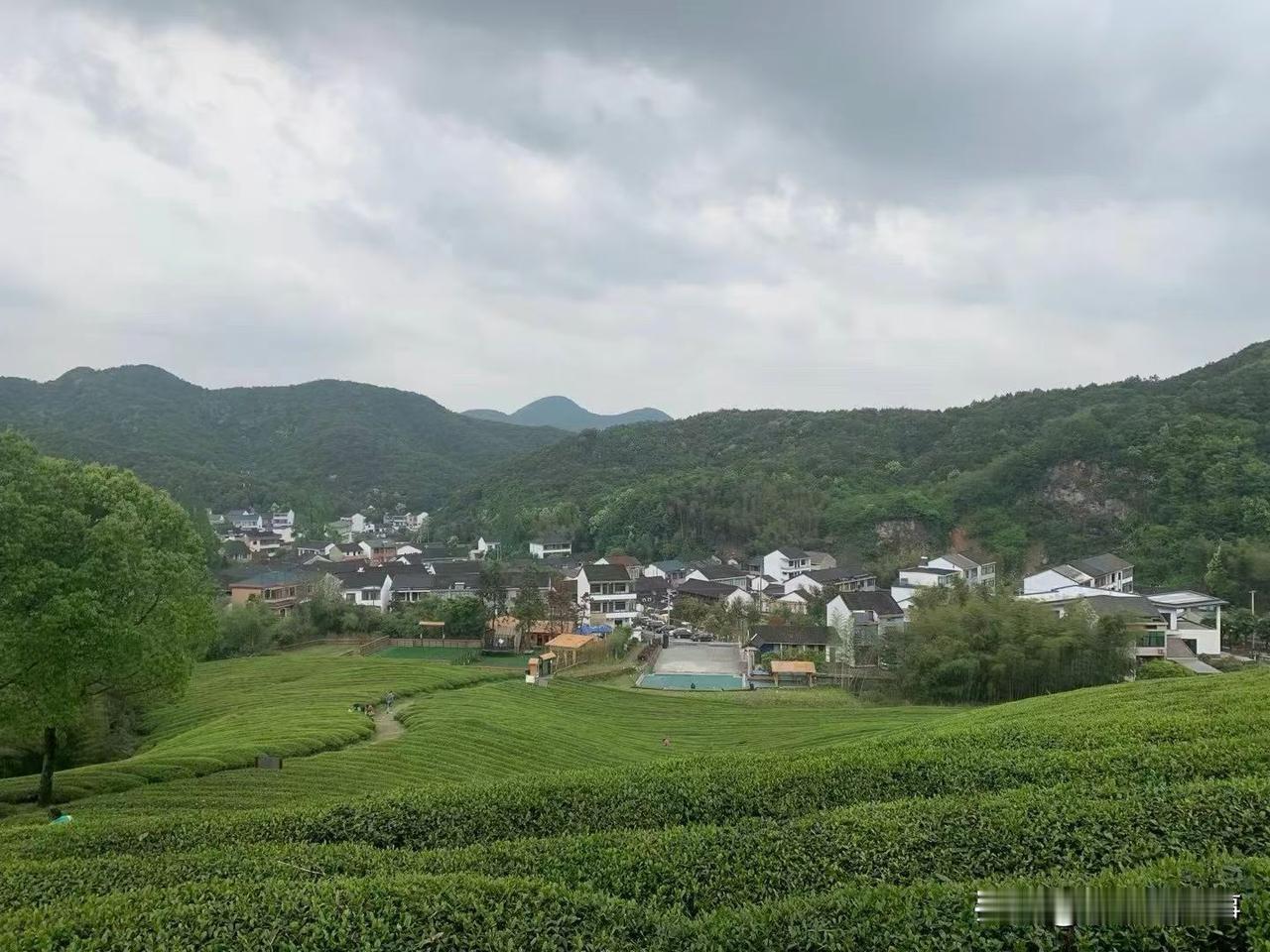 今天下楼到附近的小超市买点菜，忙活了半天，拎着大大小小好几兜回来，坐下来歇息的时