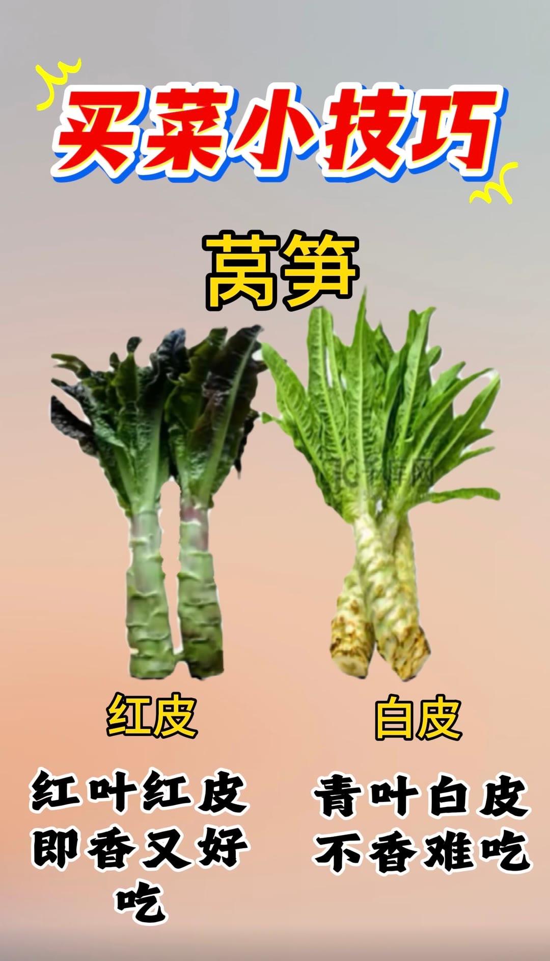 生活小常识 买菜小技巧 买菜小技巧每天分享 蔬菜挑选小技巧买菜挑选小技巧 家常买