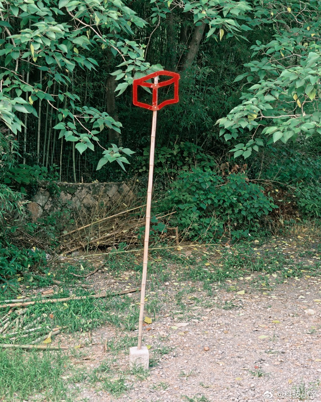 能看得出来这是啥吗？ 湖州·redcube(莫干山店)