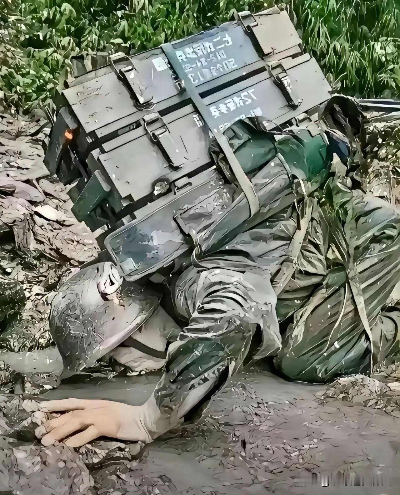 泥泞的老山阵地上草木疯长，身着迷彩的弹药兵趴在泥地里，沉重的弹药箱压在背上，头盔