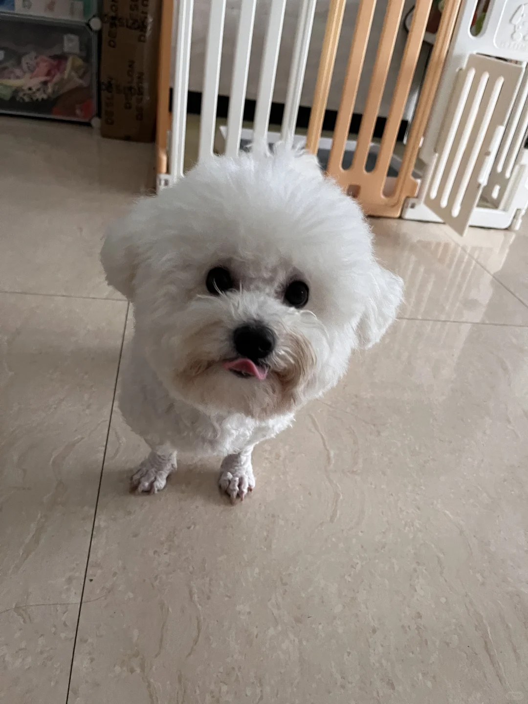 睡醒觉乱七八糟的发型