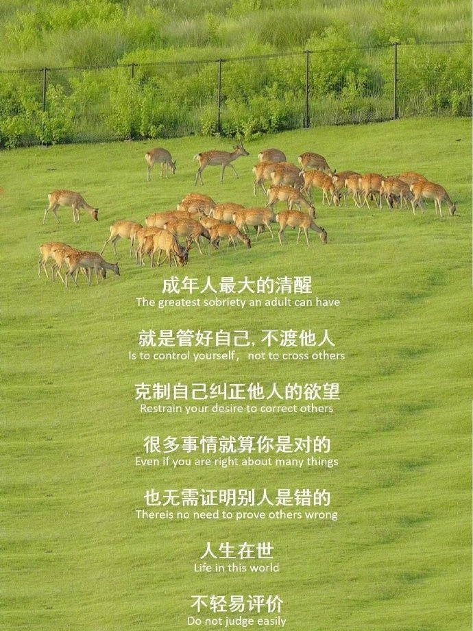 “穿好自己的鞋，走好自己的路”  