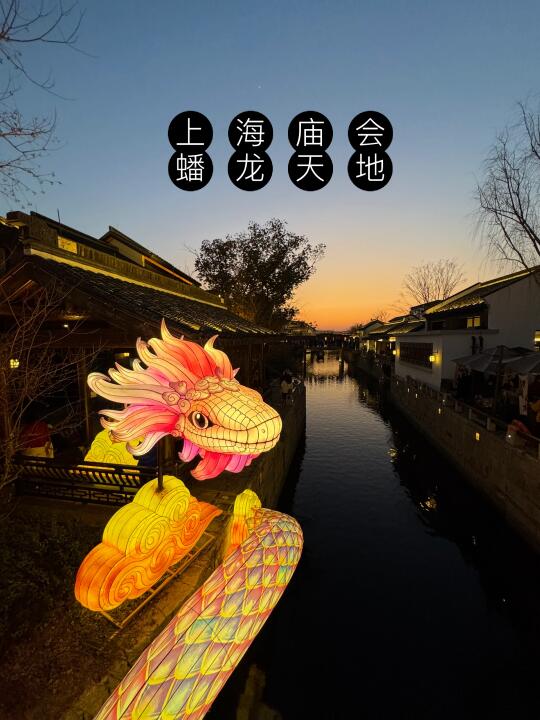 🔴逛免费的上海新年庙会，蟠龙天地