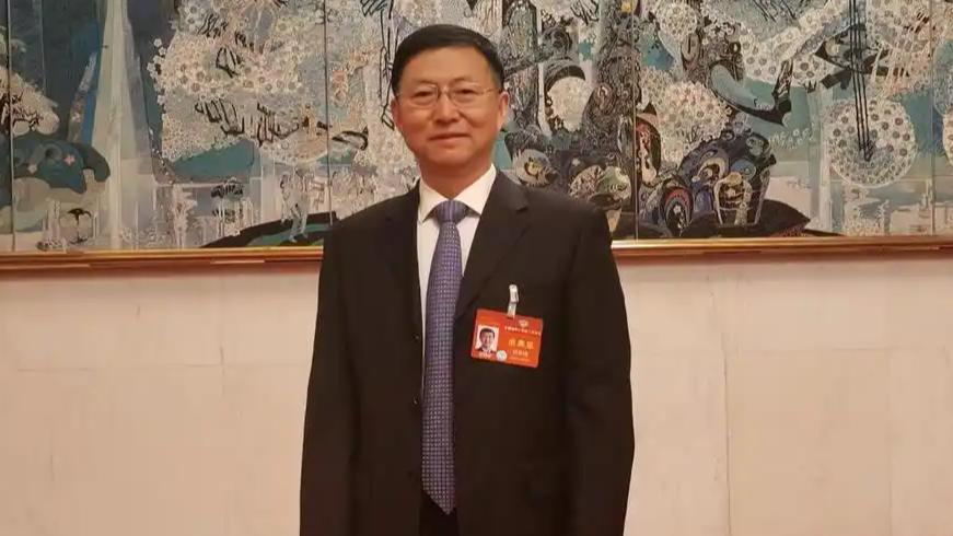 这一建议的核心在于通过缩短学制、普及高中，从制度层面缓解教育内卷和家庭焦虑。
